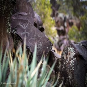 images/photos/landscapes/LandscapeGallery-05.jpg