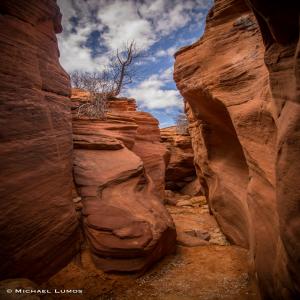 images/photos/landscapes/LandscapeGallery-06.jpg
