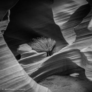 images/photos/landscapes/LandscapeGallery-08.jpg