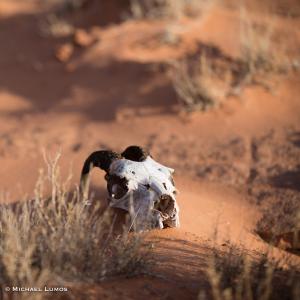 images/photos/landscapes/LandscapeGallery-14.jpg