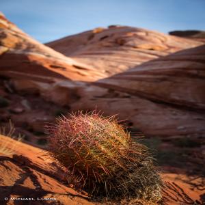 images/photos/landscapes/LandscapeGallery-15.jpg