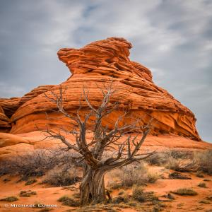 images/photos/landscapes/LandscapeGallery-17.jpg