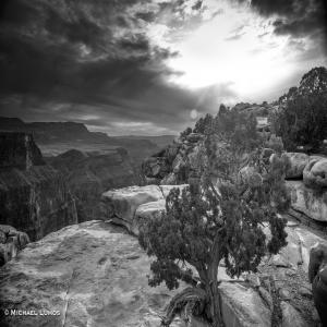 images/photos/landscapes/LandscapeGallery-19.jpg