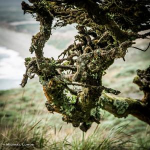 images/photos/landscapes/LandscapeGallery-24.jpg