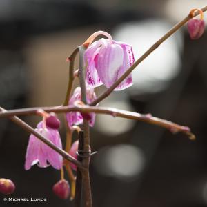 images/photos/landscapes/LandscapeGallery-25.jpg